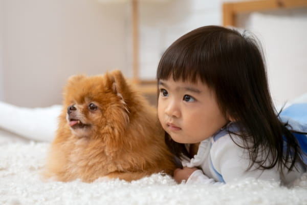 子供とペット